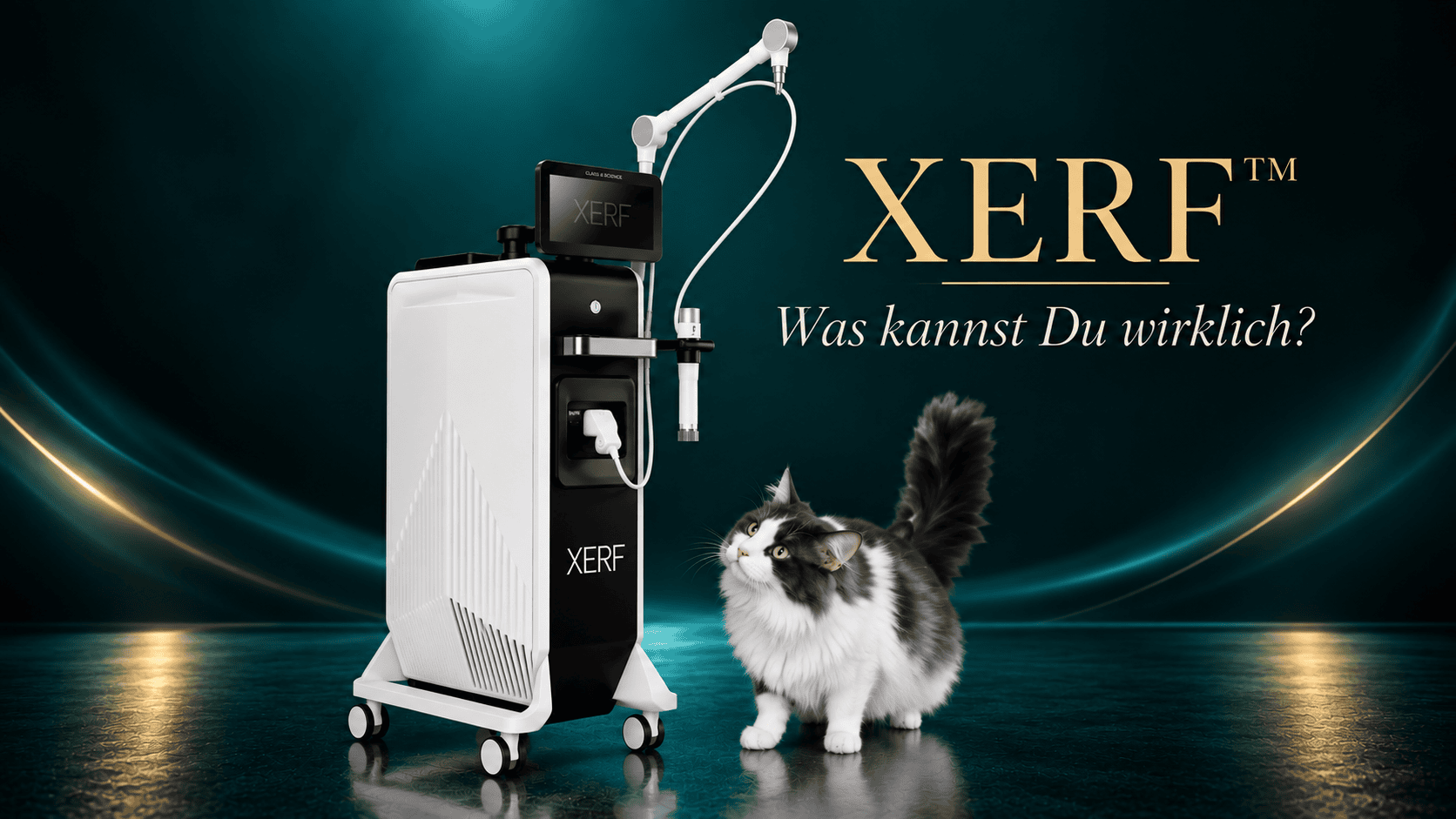 Was kann XERF wirklich – und was nicht?